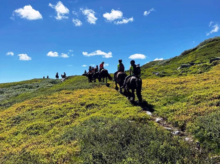 Hesteridning Spåtind Rideleir