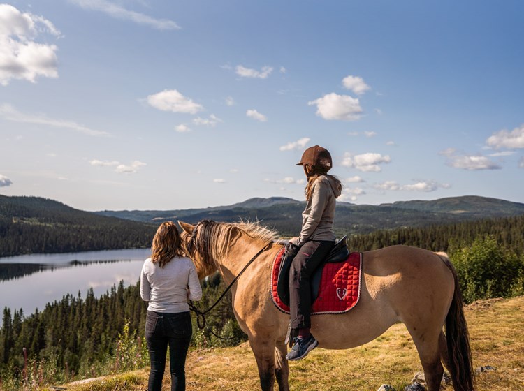 Rideleir hest og utsikt på fjellet