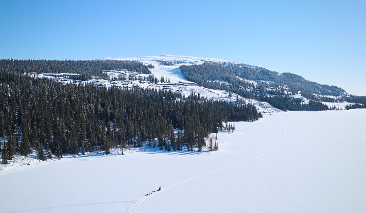 Spåtind Fjellhotell - Høyfjellshotell i Synnfjell
