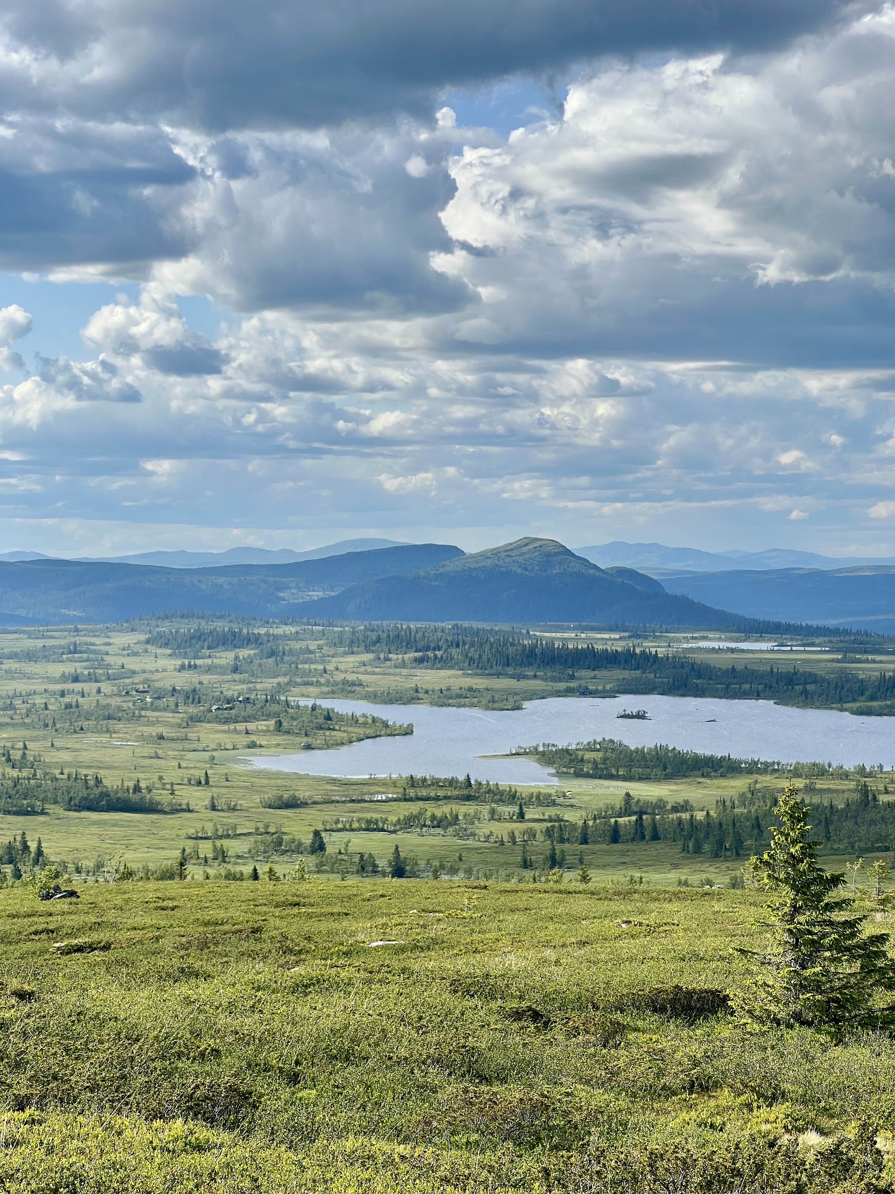 Skjervungfjellet Utsikt (1)