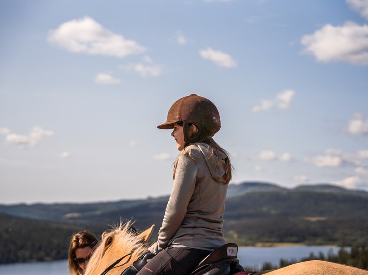 Spåtind Hesteridning I Fjellet