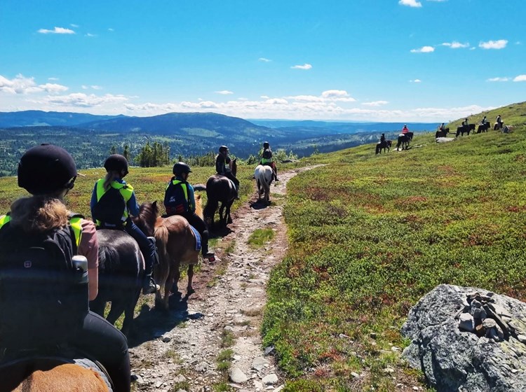 Hesteridning Spåtind Rideleir3