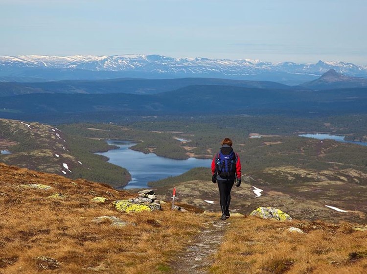 Spåtindtoppen