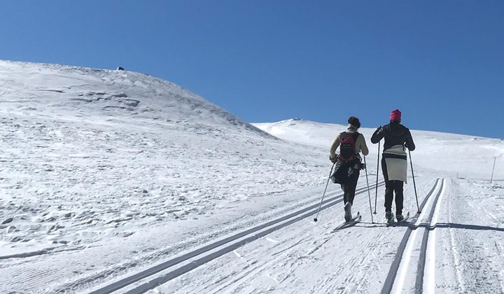 Spatindtoppen Skitur Langrenn