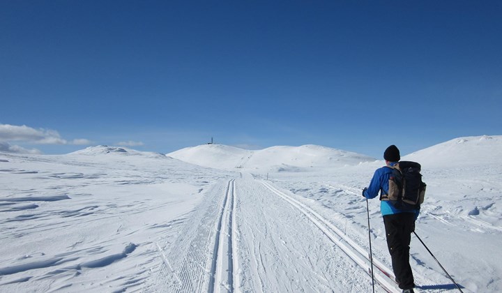 Langrennstur Spatind Lenningen 45Km